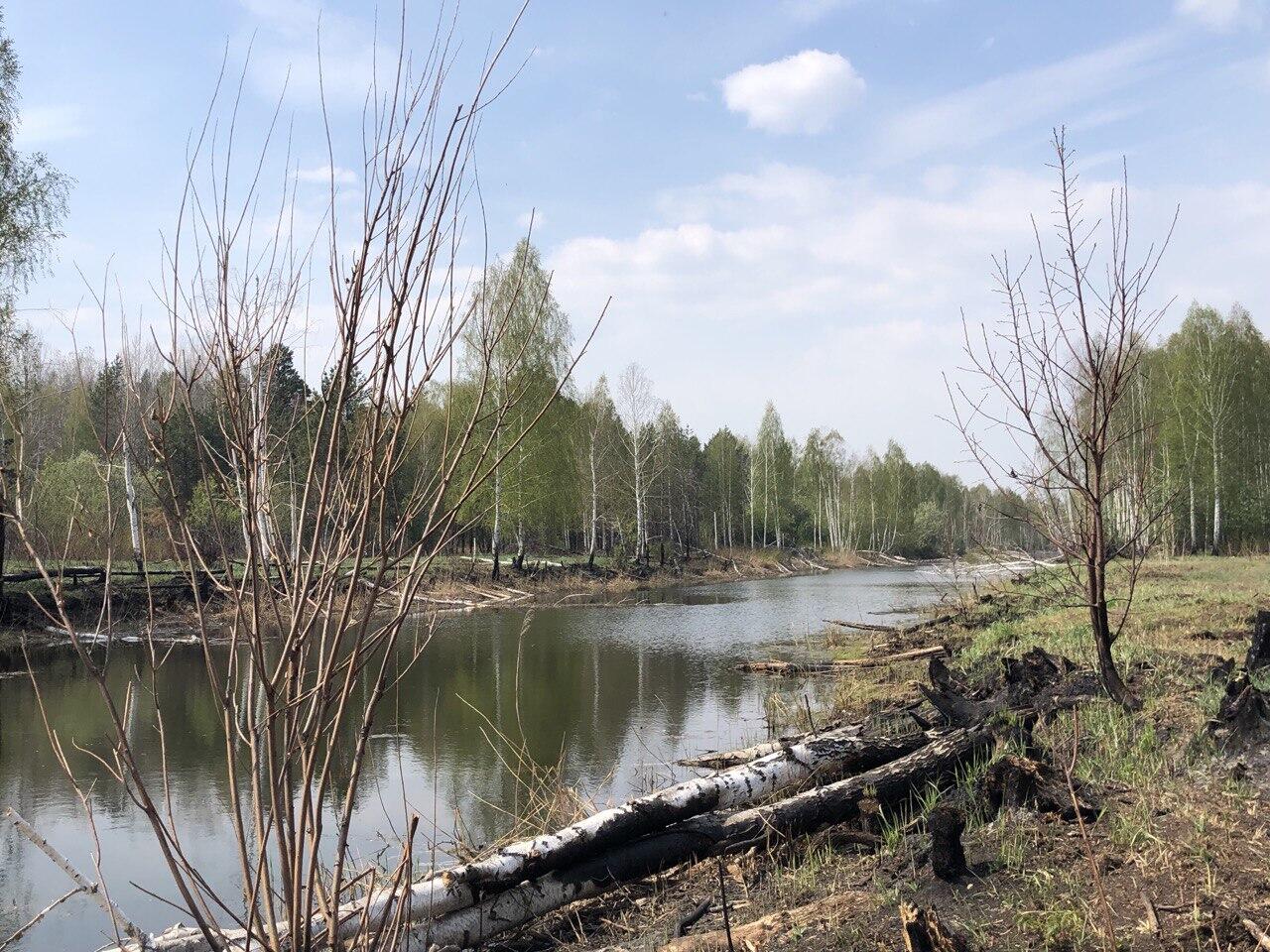 Искусственный водоем возле Моховой Шмарины создали специально десятки лет назад, чтобы брать из него воду для тушения ближайших лесных пожаров. По словам лесника Андрея, здесь также находился канал со шлюзами, но сейчас никто за ними не ухаживает. Фото: Мария Рубинина / It’s My City