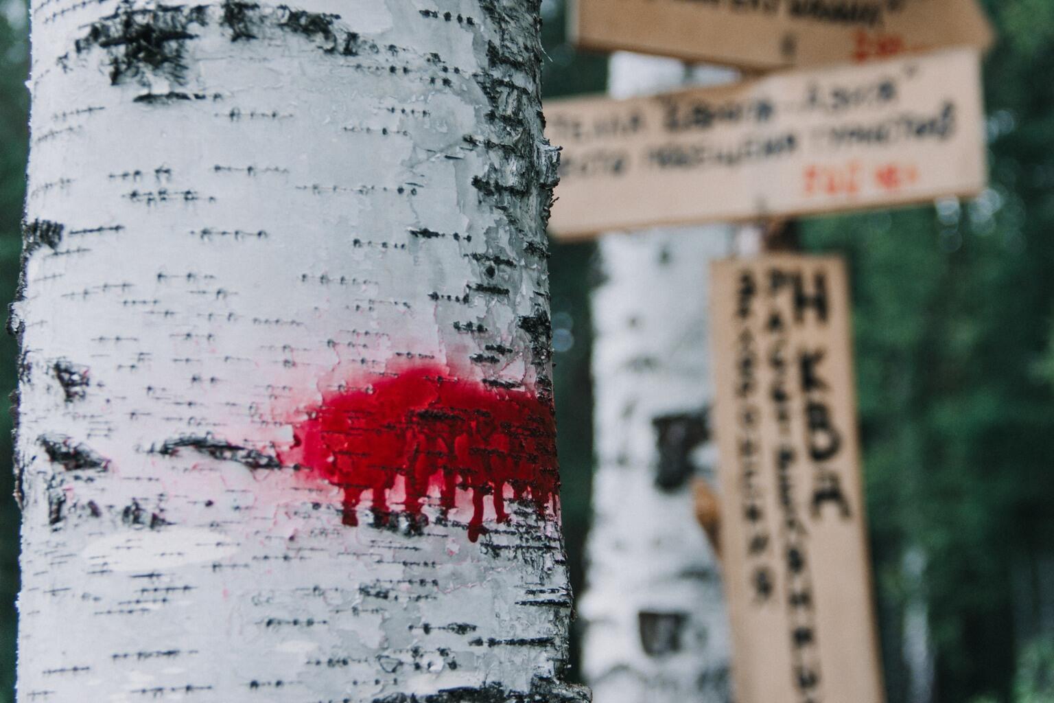 Фото: Музей истории Екатеринбурга