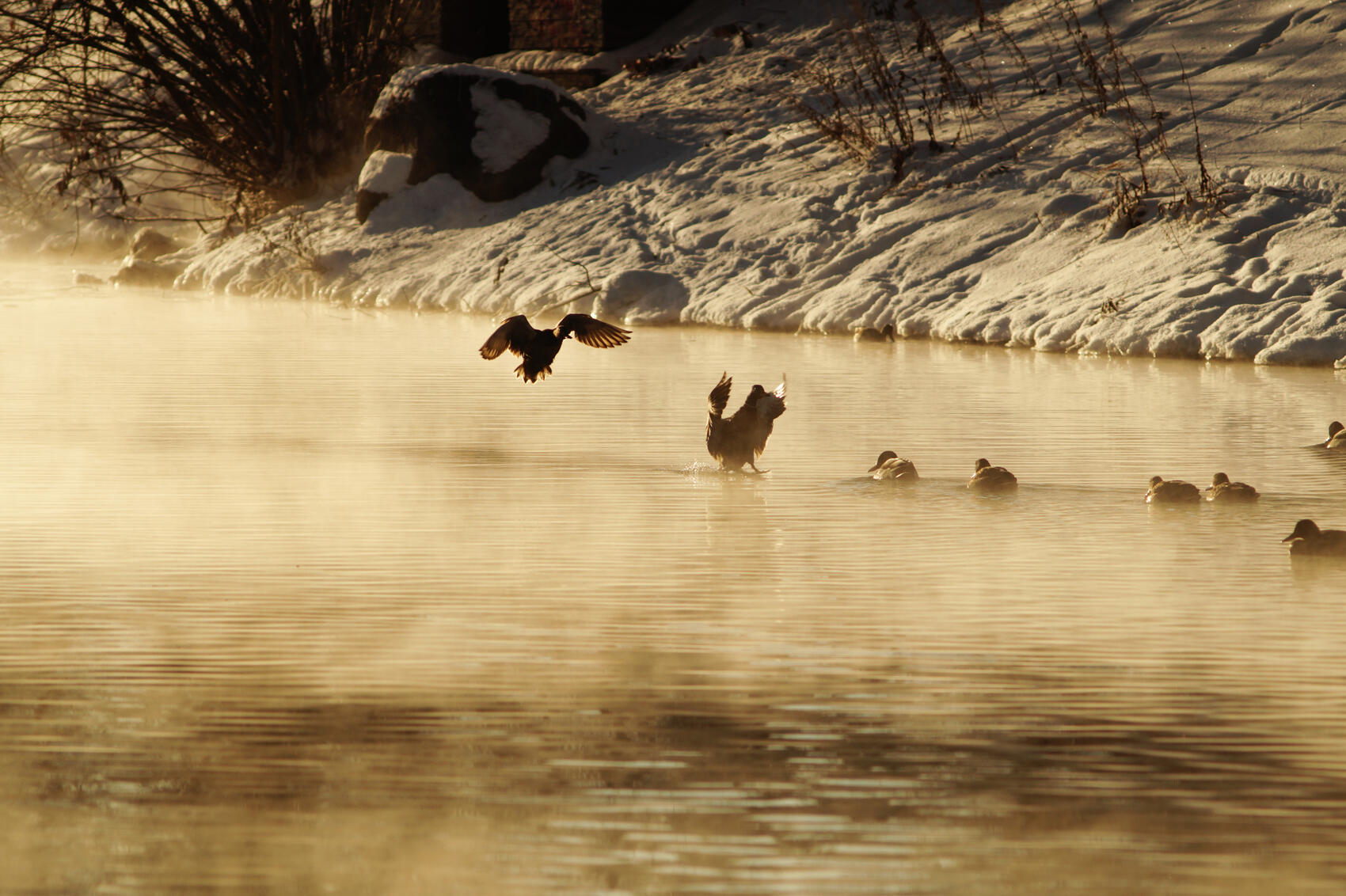 Фото: Елена Елизарова / It's My City