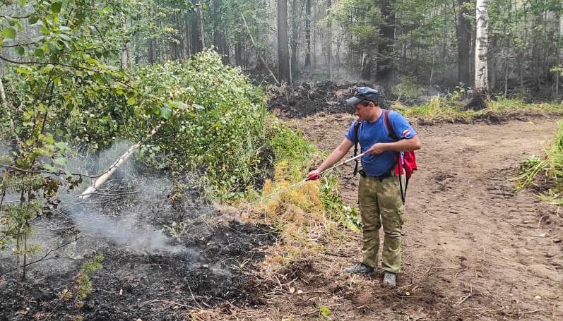 Пожар у озера Глухое. Фото: МЧС по Свердловской области
