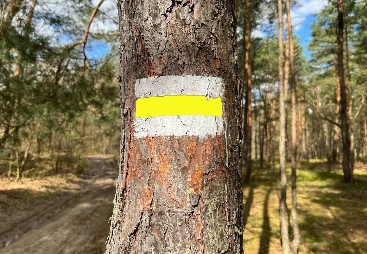 Фото: Департамент информационной политики Свердловской области