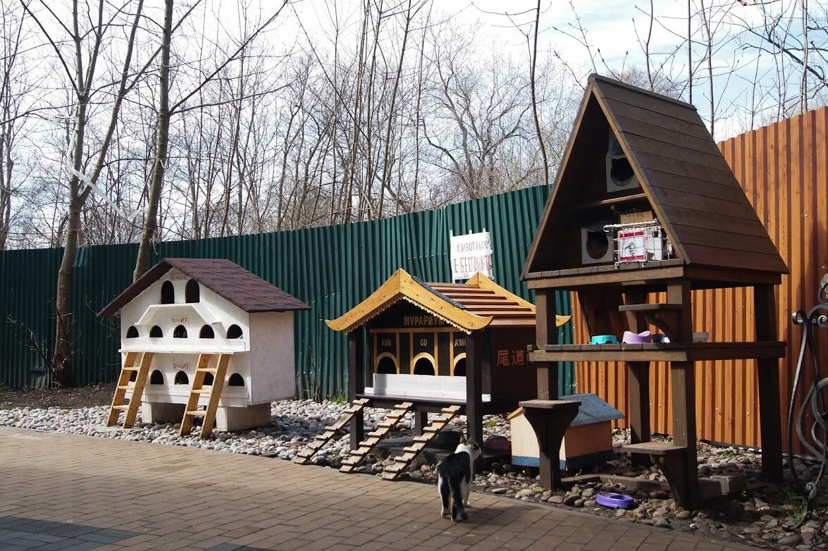 Уличные домики для бездомных кошек