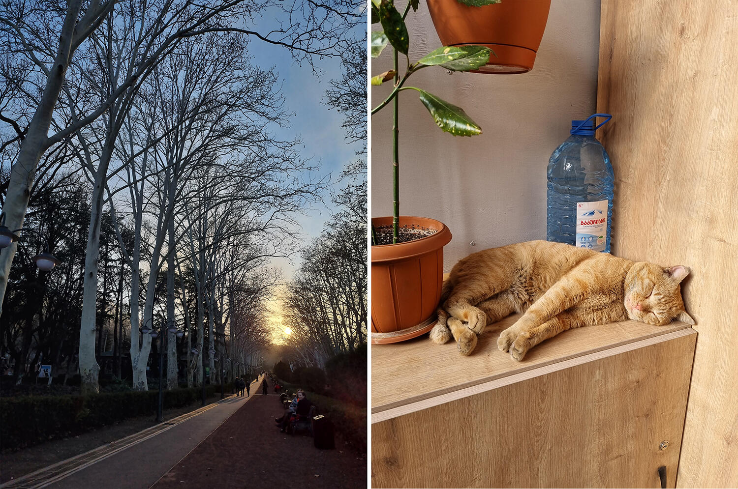 Фотографии предоставлены героем