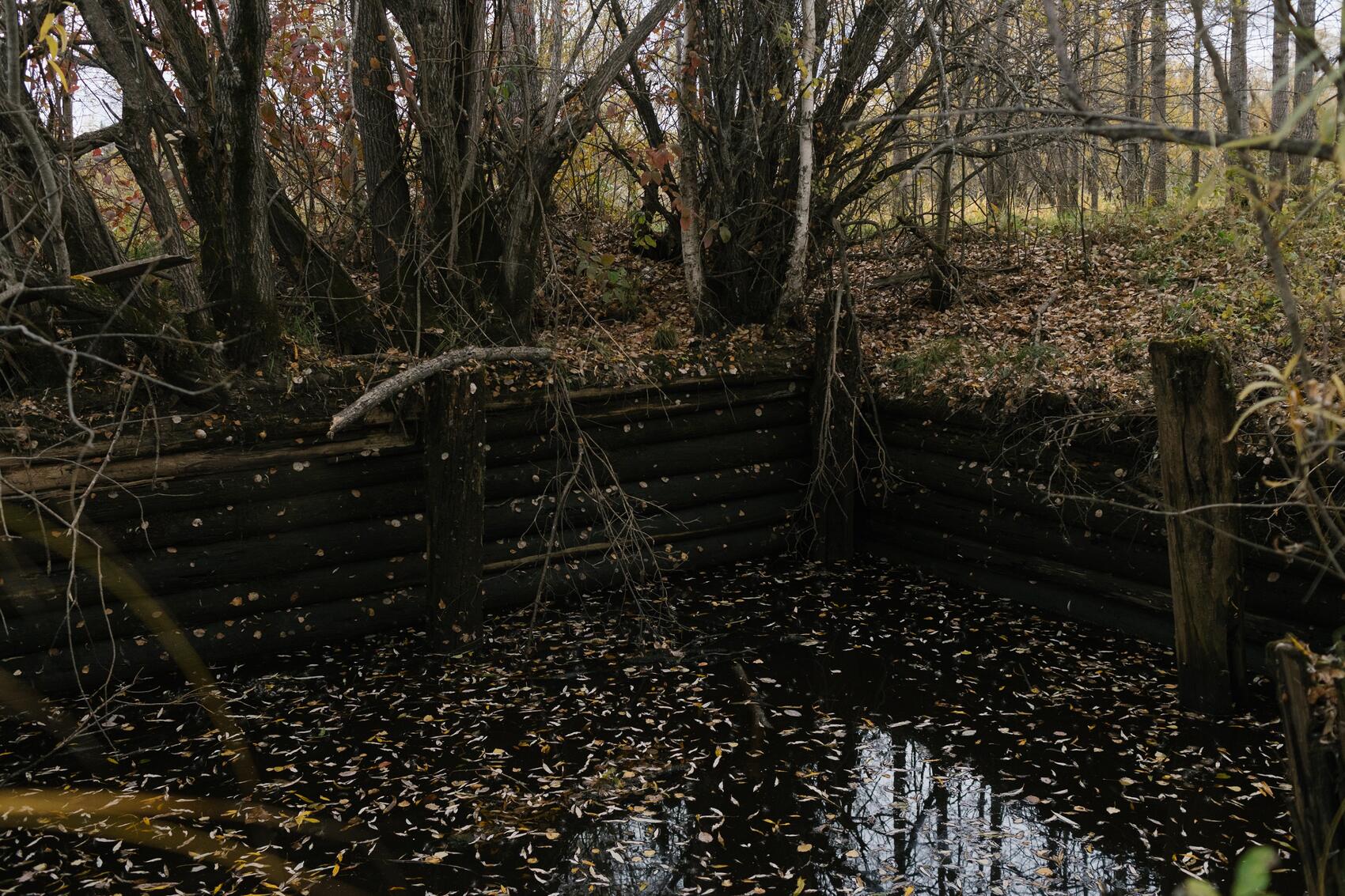 Деревянный колодец — все, что к настоящему моменту сохранилось от построек Ивдельлага в глубоком лесу