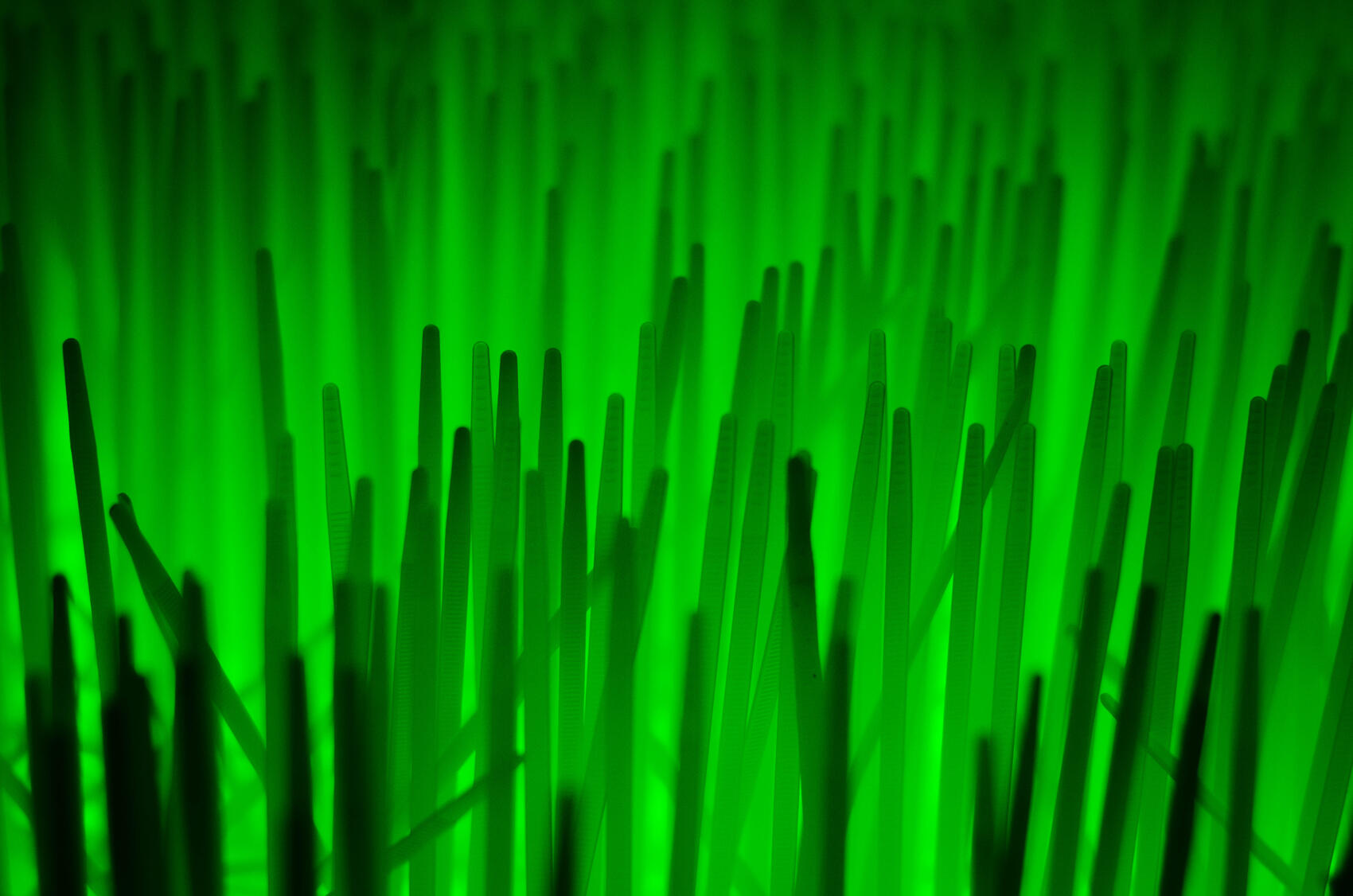 Фото: Евгения Кобеева / It's My City