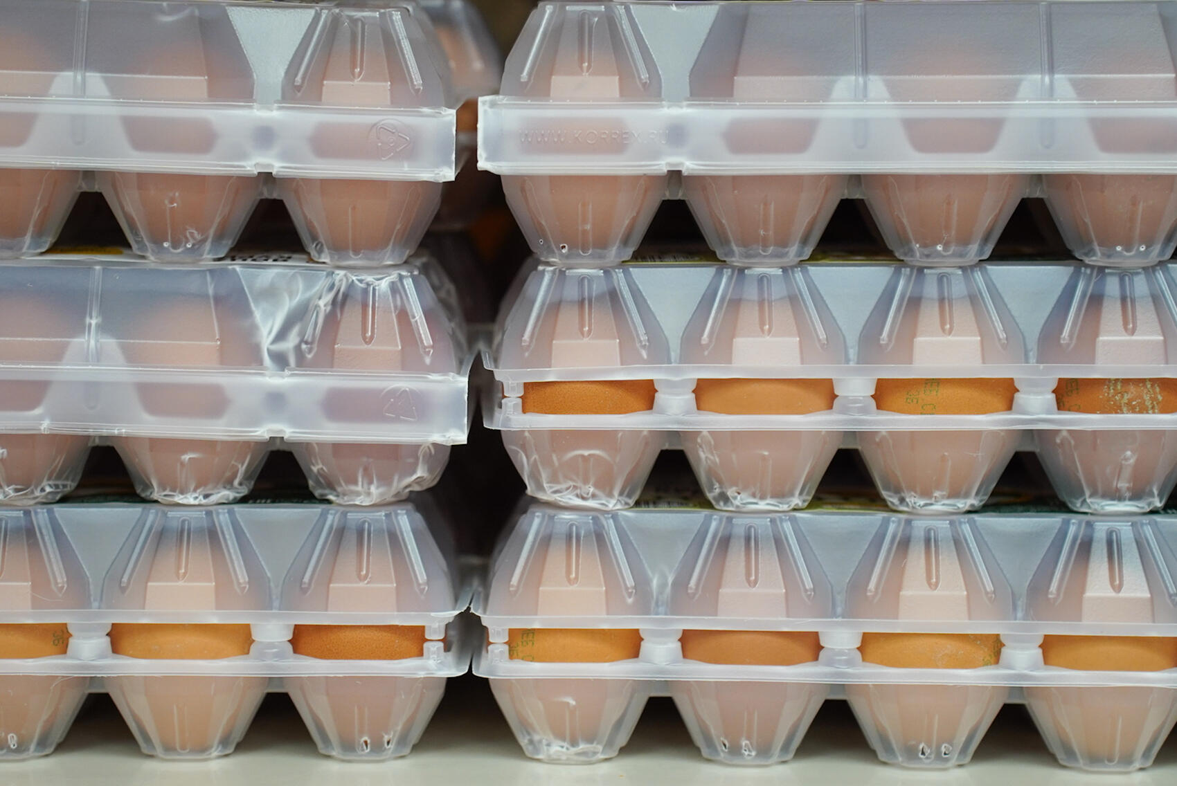 Фото: Елена Елизарова / It's My City