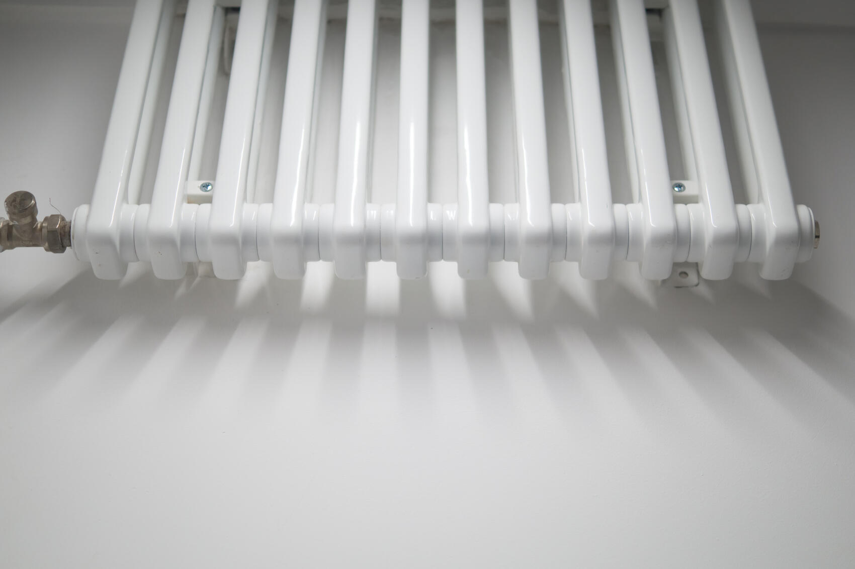 Фото: Елена Елизарова / It’s My City