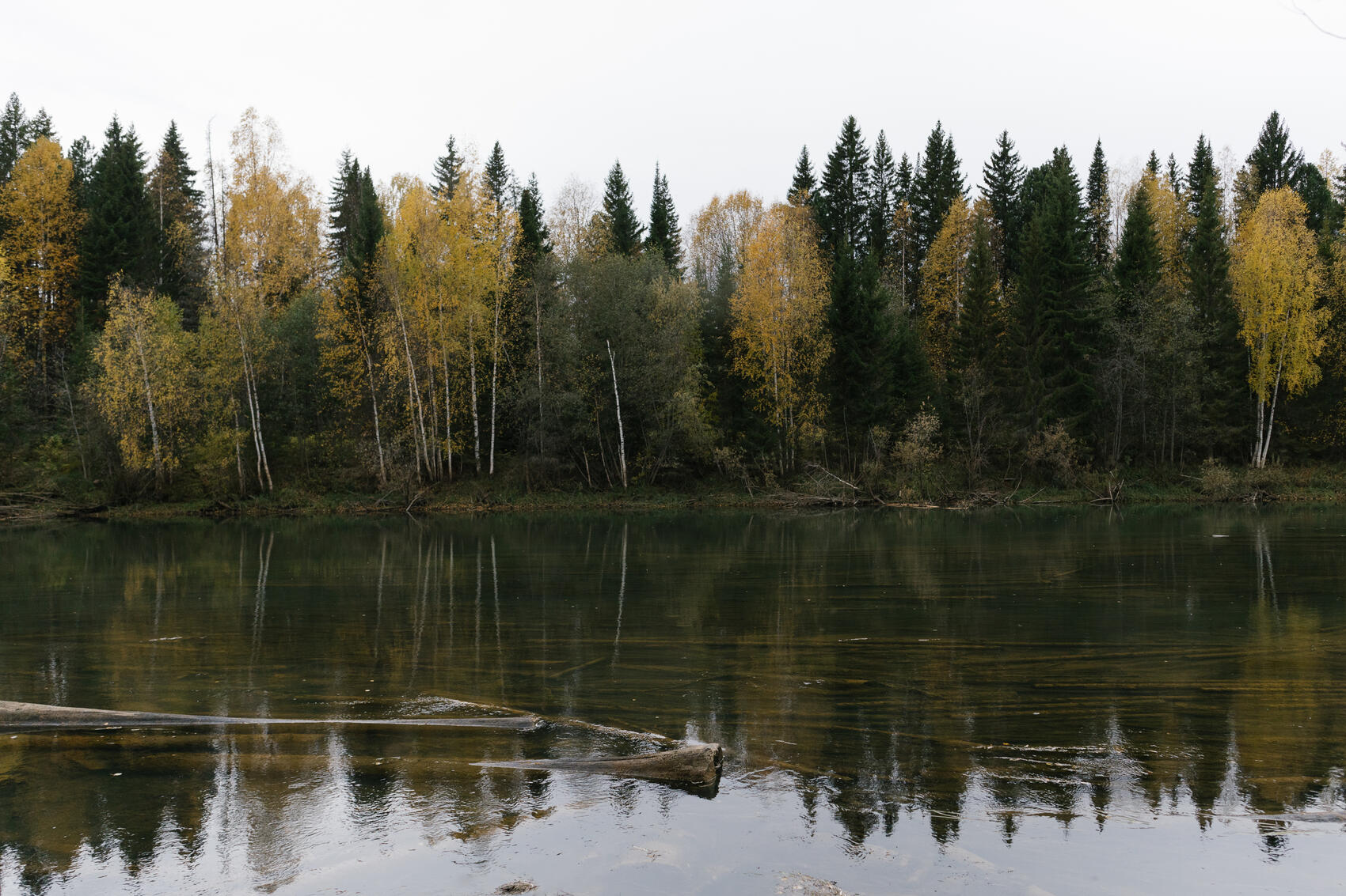 Дно покрывают топляки