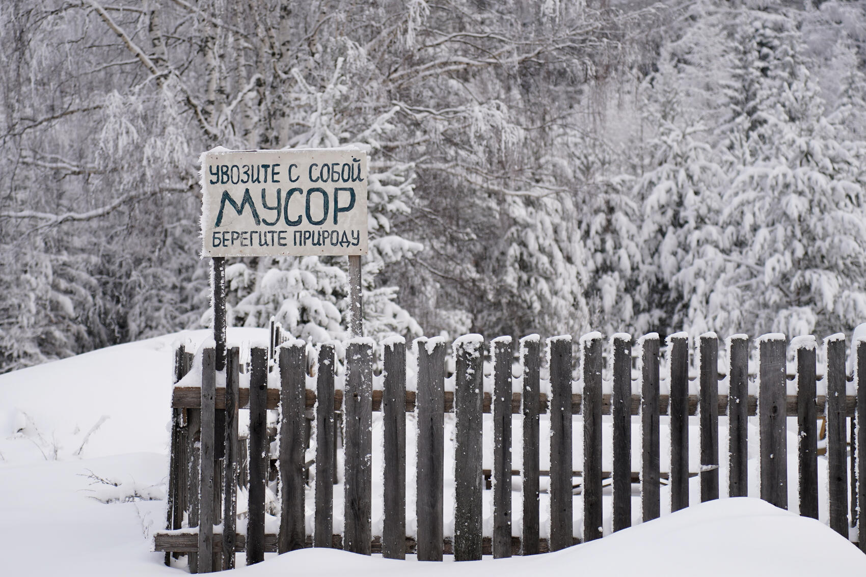 Фото: Елена Елизарова / It's My City