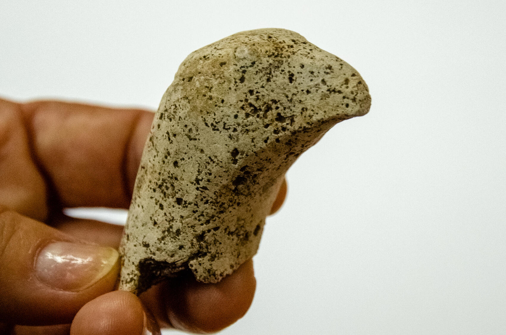 Фото: пресс-служба УрФУ