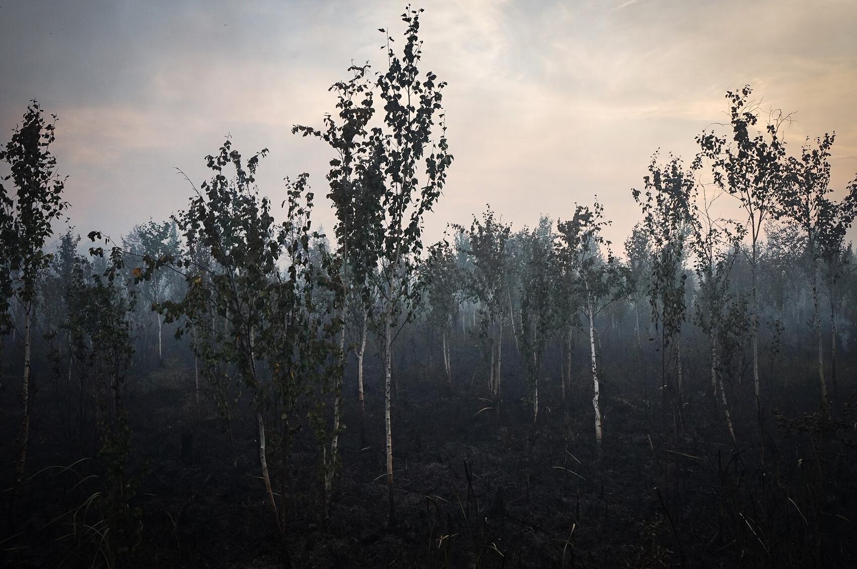 Фото: Арина Томашова / It's My City