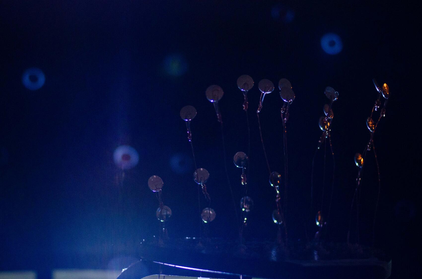 Фото: It’s My City