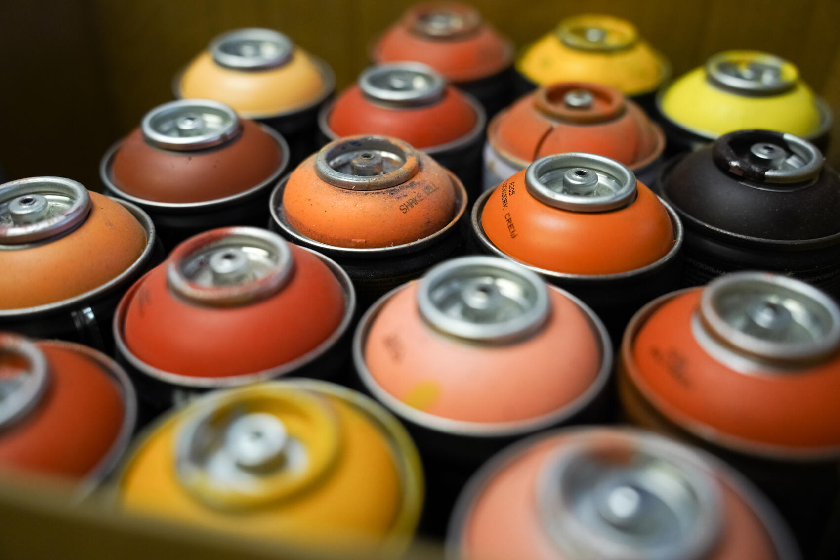 Фото: Елена Елизарова / It’s My&nbsp;City