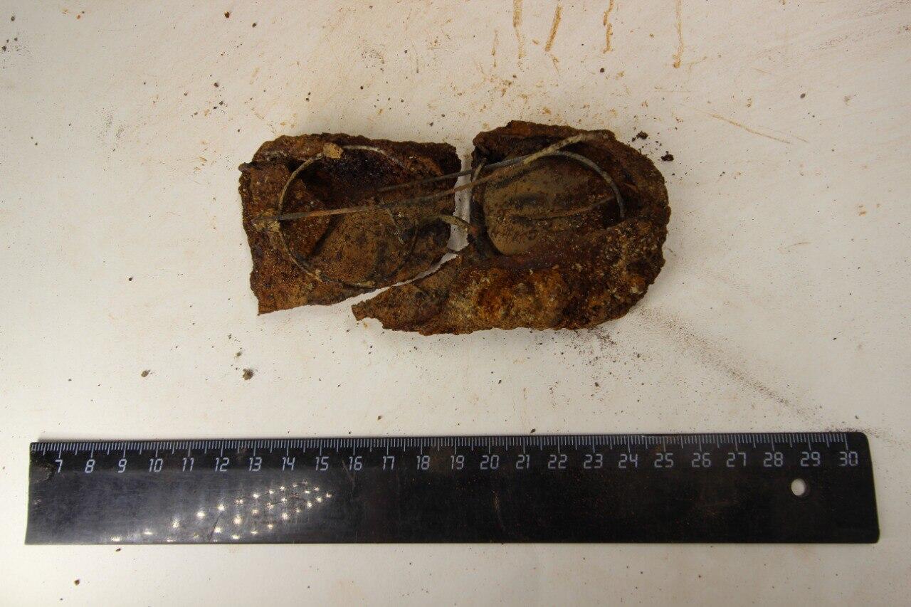 Фото: предоставлено Игорем Пушкаревым