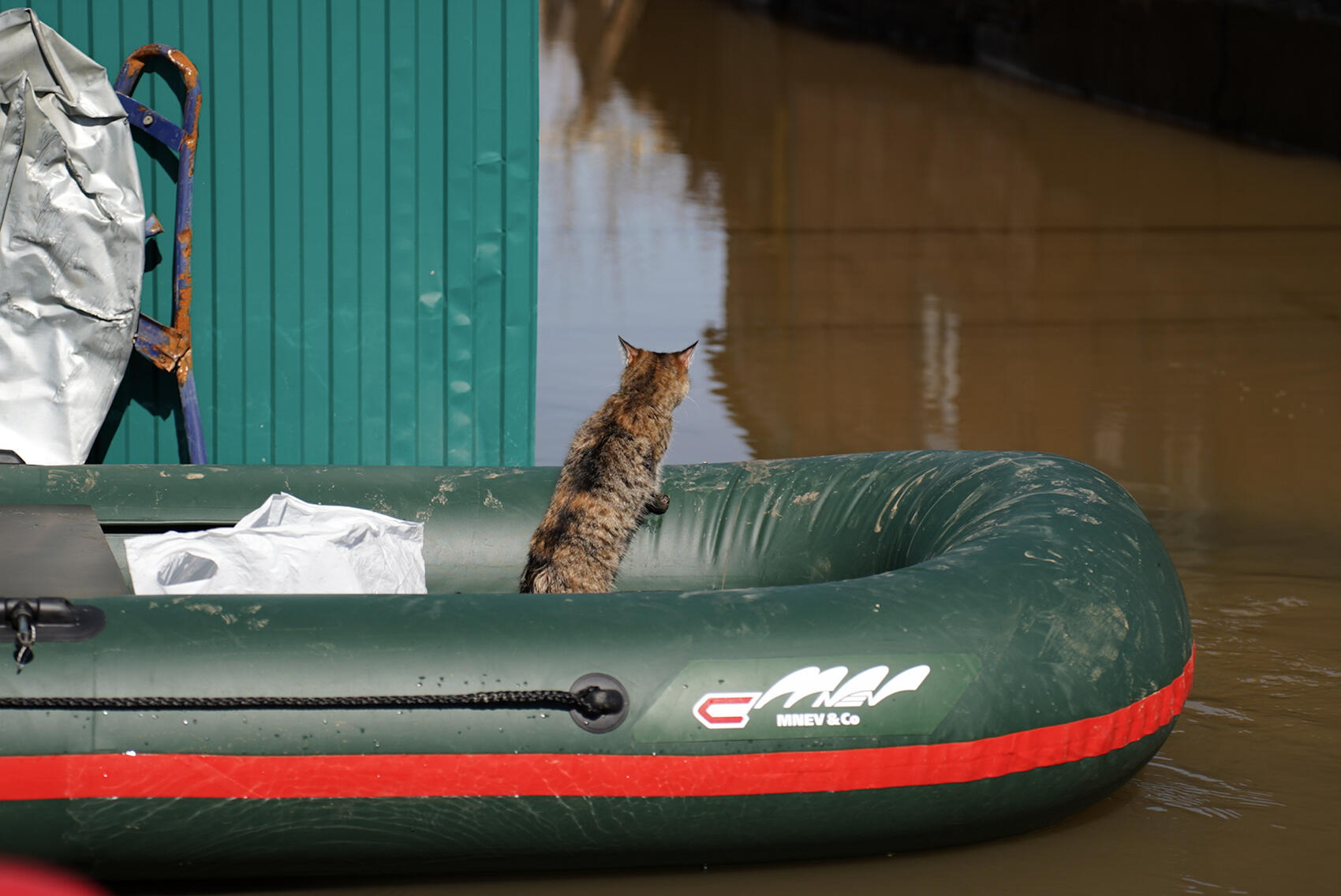 Фото: Елена Елизарова / It's My City