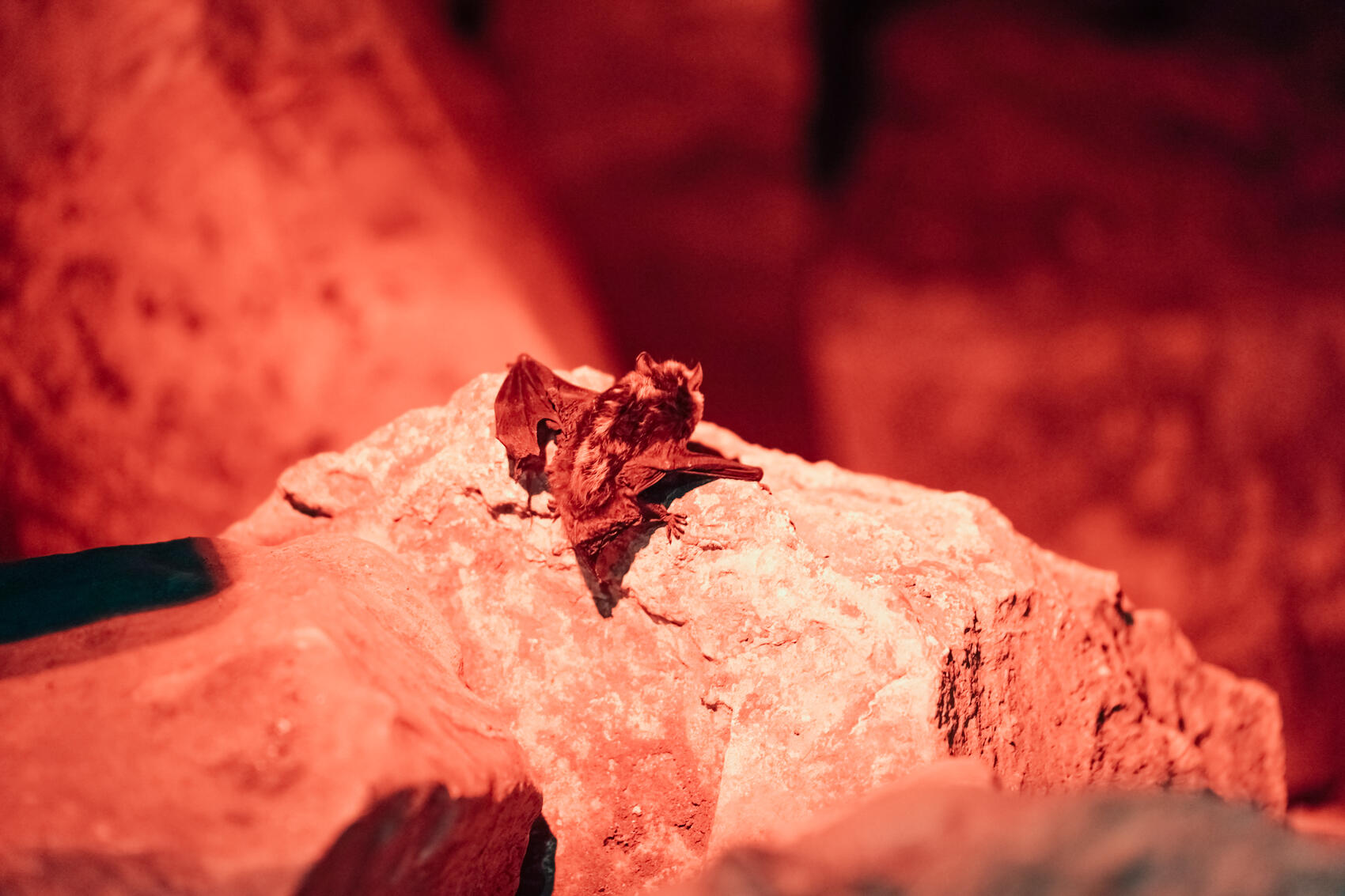 Фото: Елена Елизарова / It’s My City