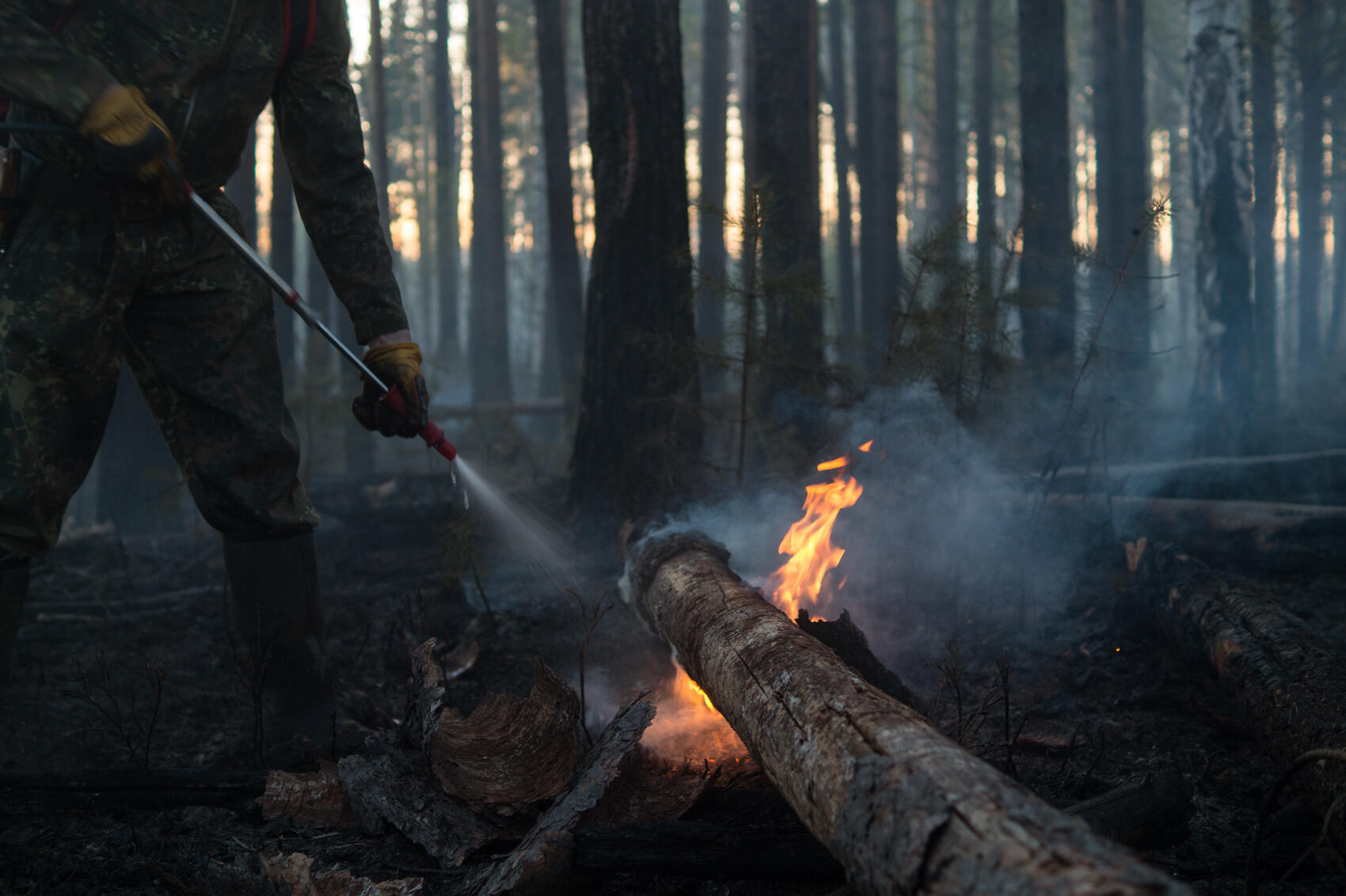 Фото: Елена Елизарова / It’s My City