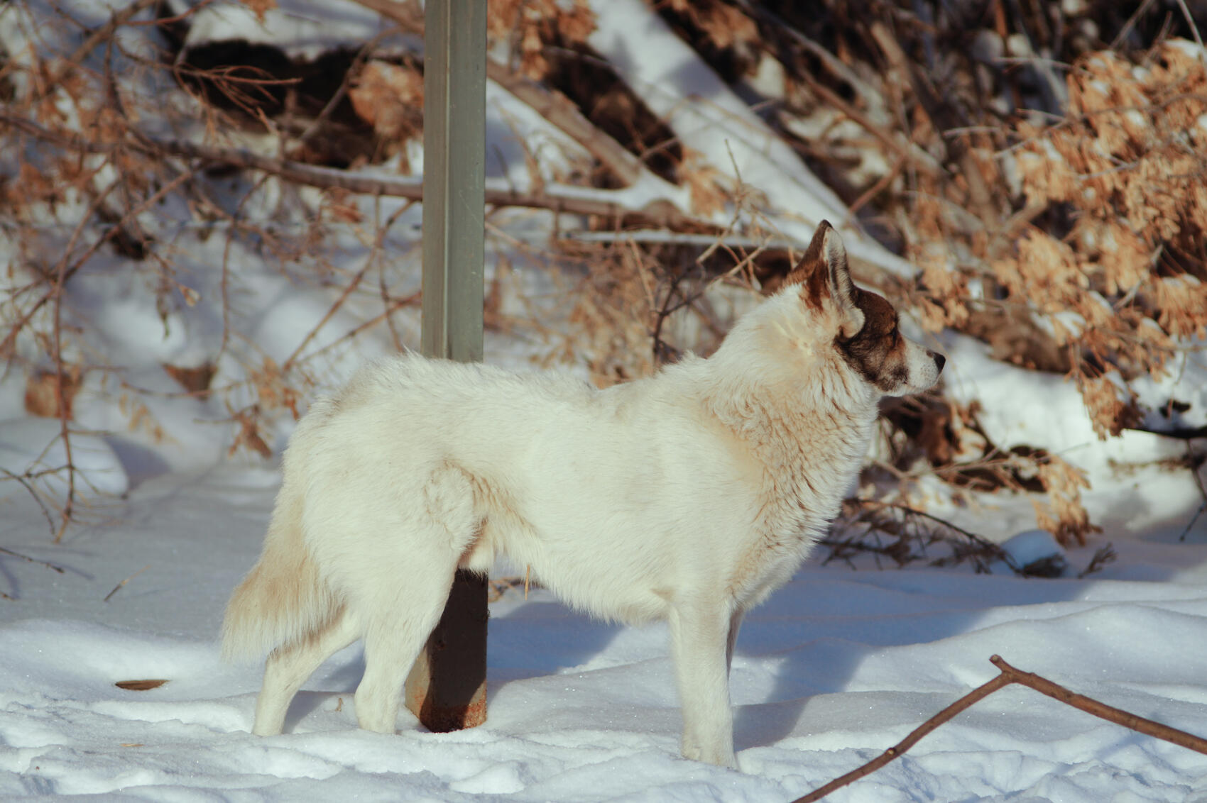 Фото: Елена Елизарова / It's My City