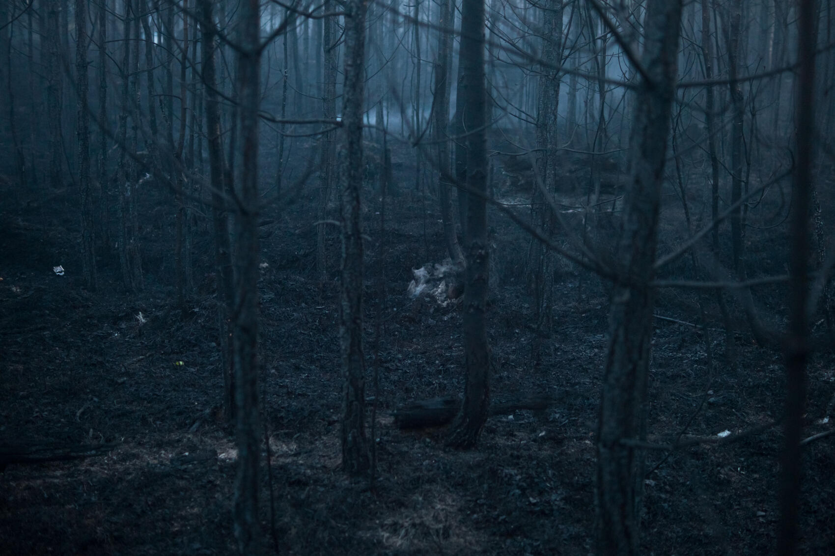 Фото: Елена Елизарова / It’s My City