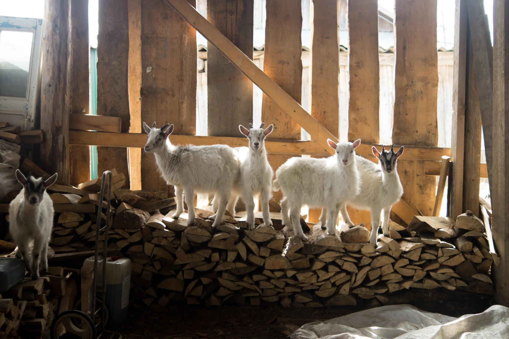 Фото: Елена Елизарова / It's My City