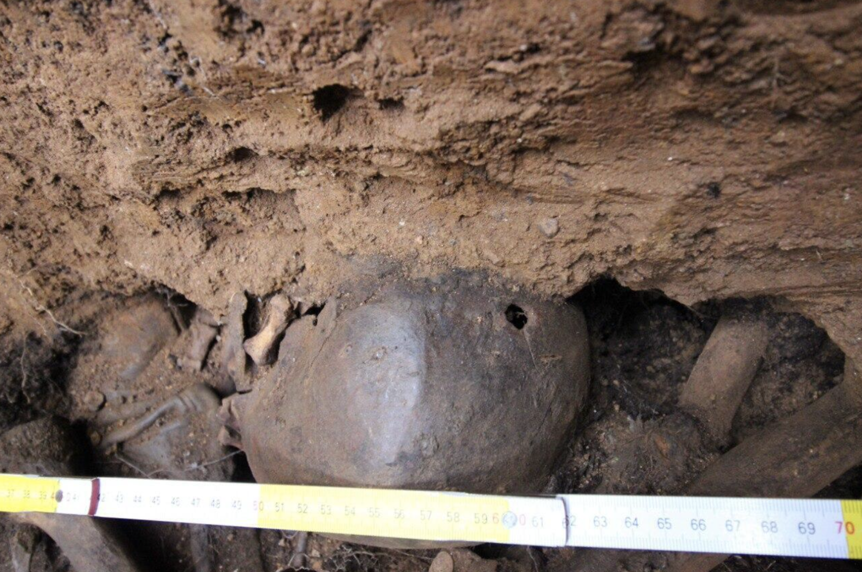 Череп с пулевым отверстием, найденный на раскопках в 2022 году. Фото предоставлено Игорем Пушкаревым
