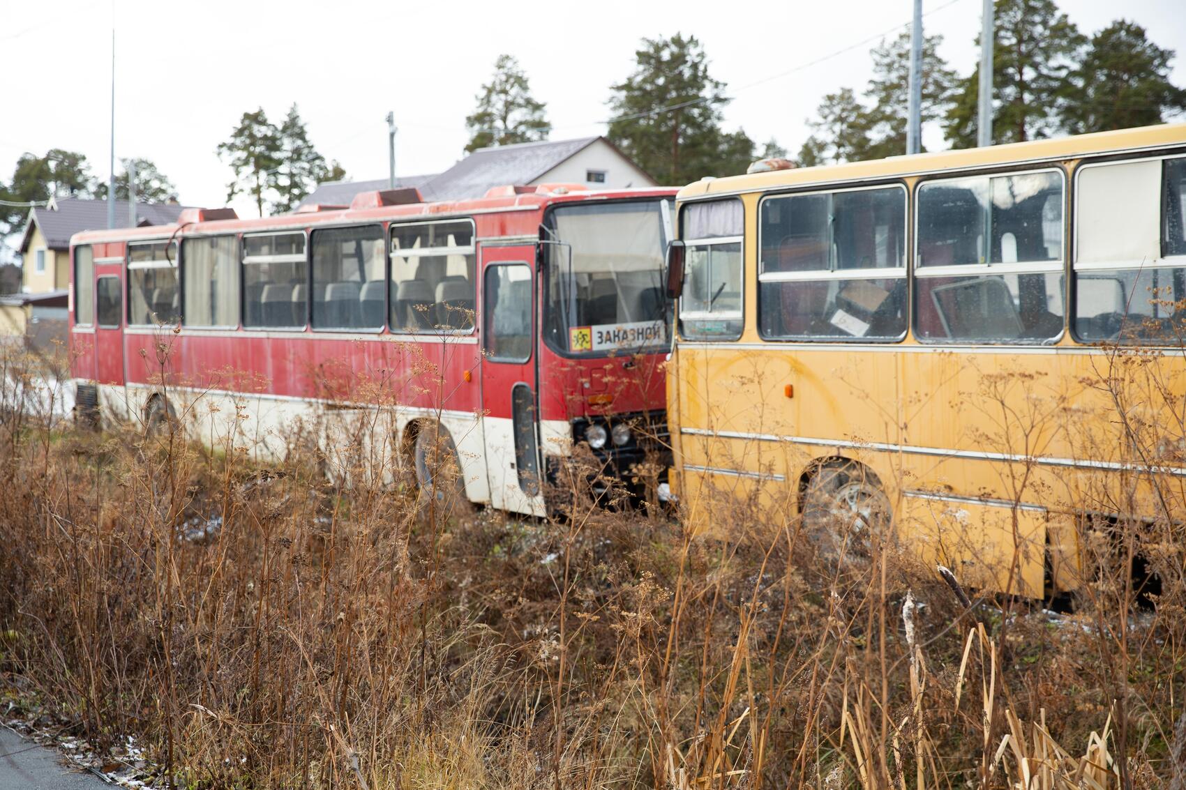 Фото: It’s My City