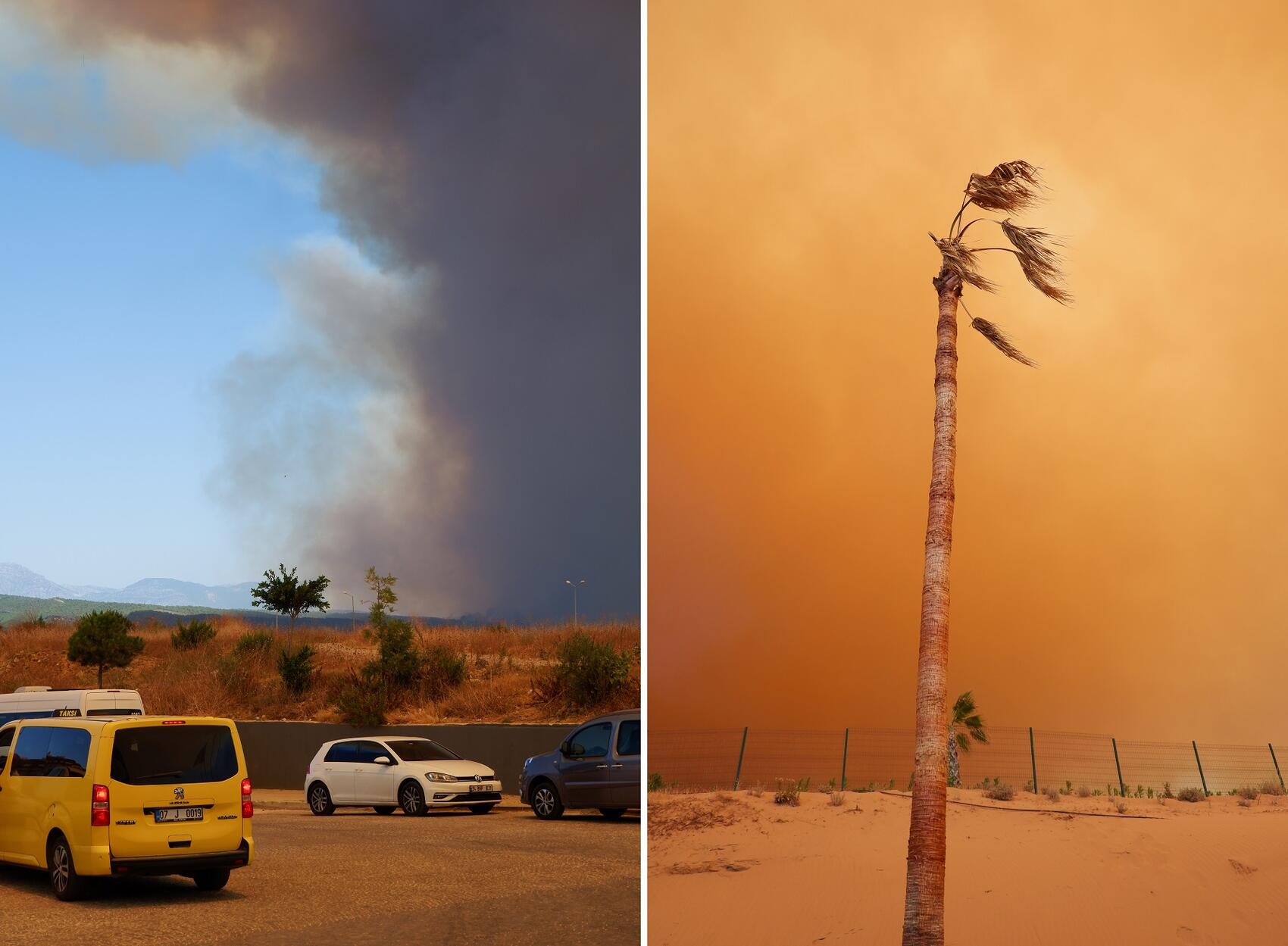 Фото из личного архива