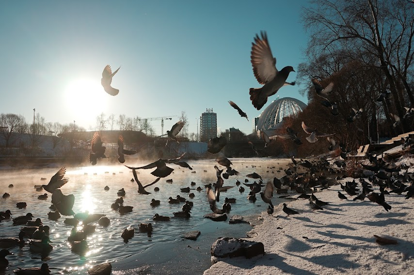 Фото: Арина Томашова / It's My City