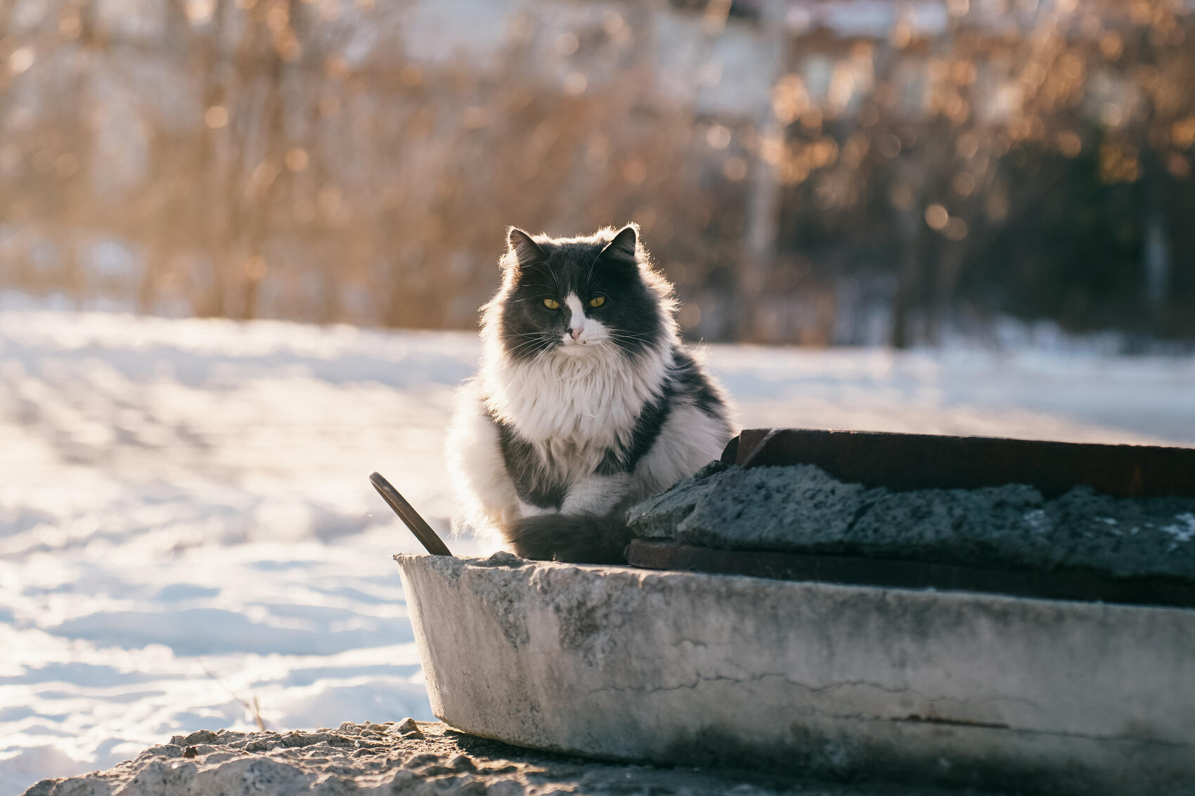 Фото: Елена Елизарова / It's My City