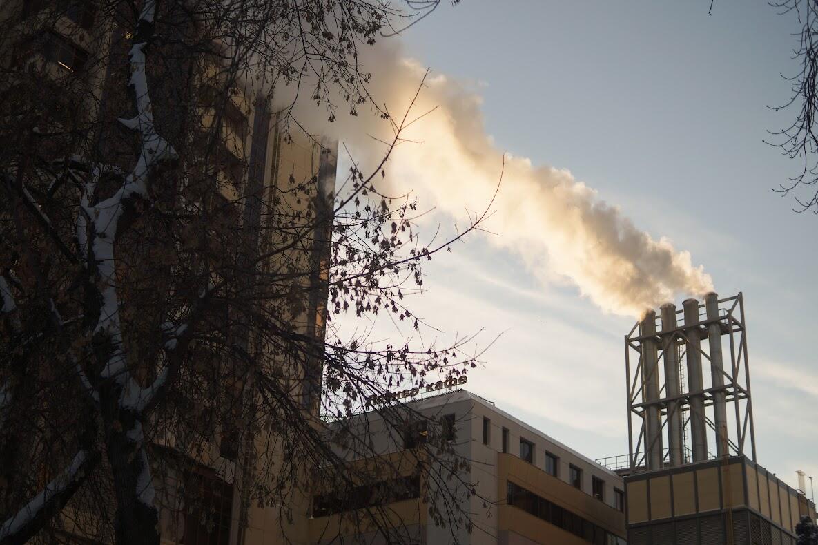 Фото: Елена Елизарова / It's My City