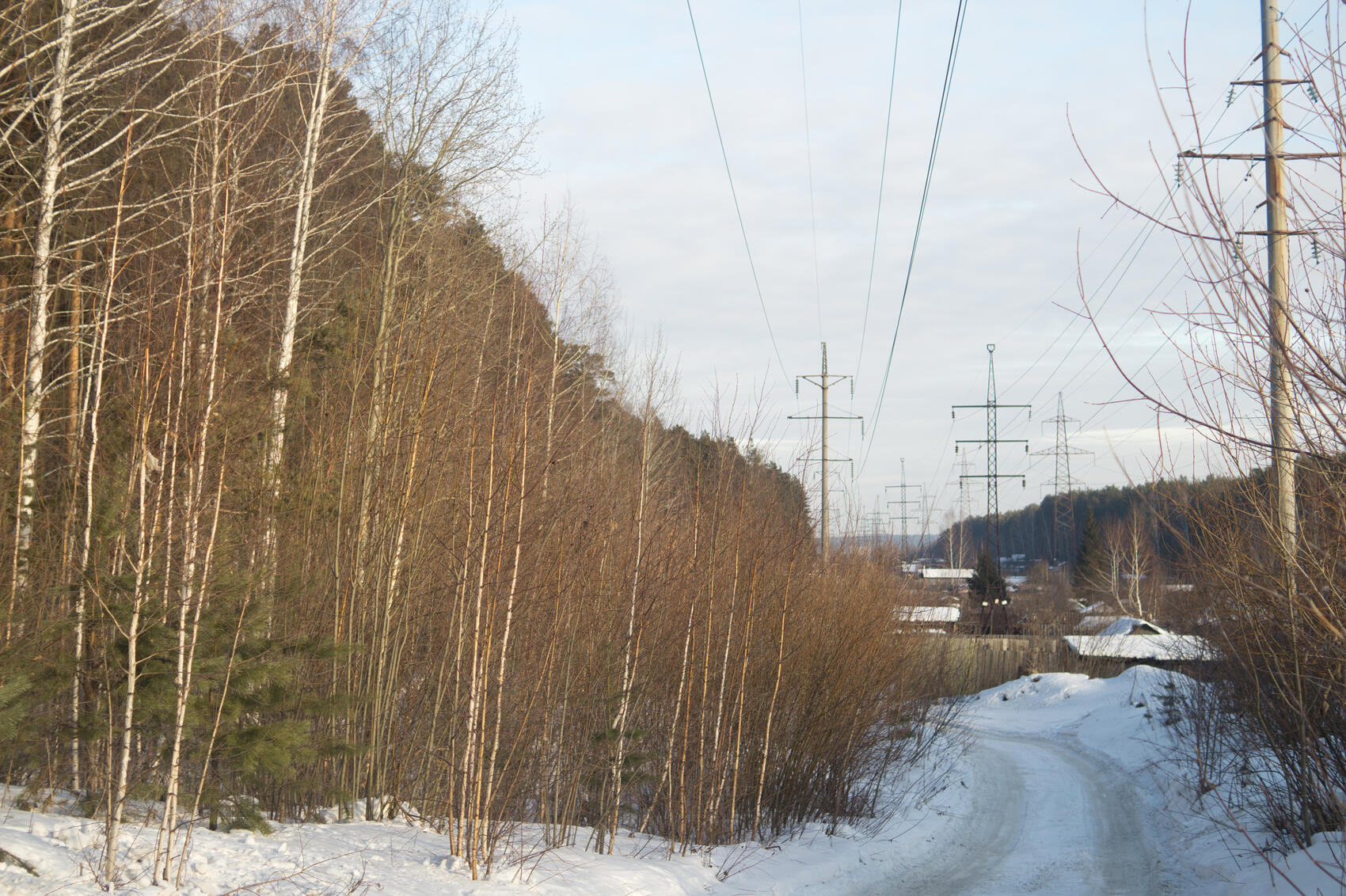 Фото: Елена Елизарова / It’s My&nbsp;City