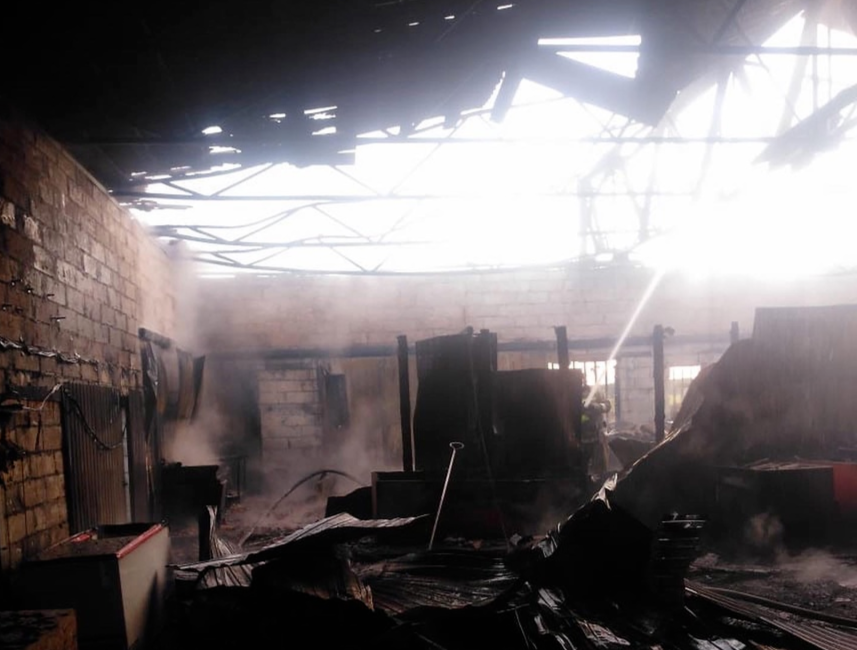 Фото: «ХаскиЕкб»