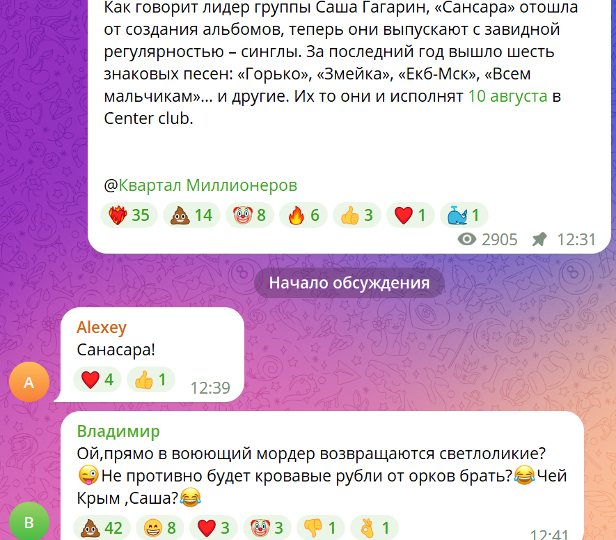 Скриншот с предполагаемым комментарием Владимира Шахрина под анонсом концерта