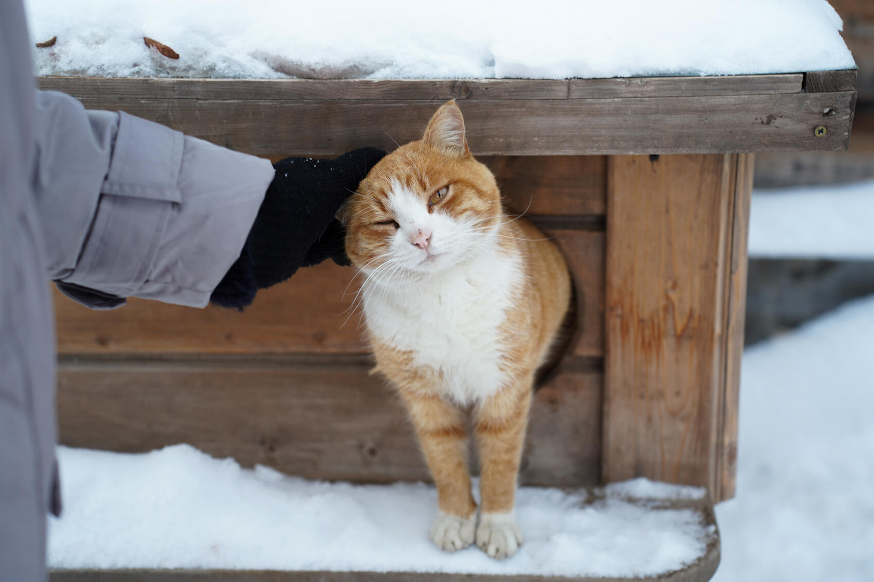 Фото: Елена Елизарова / It’s My City