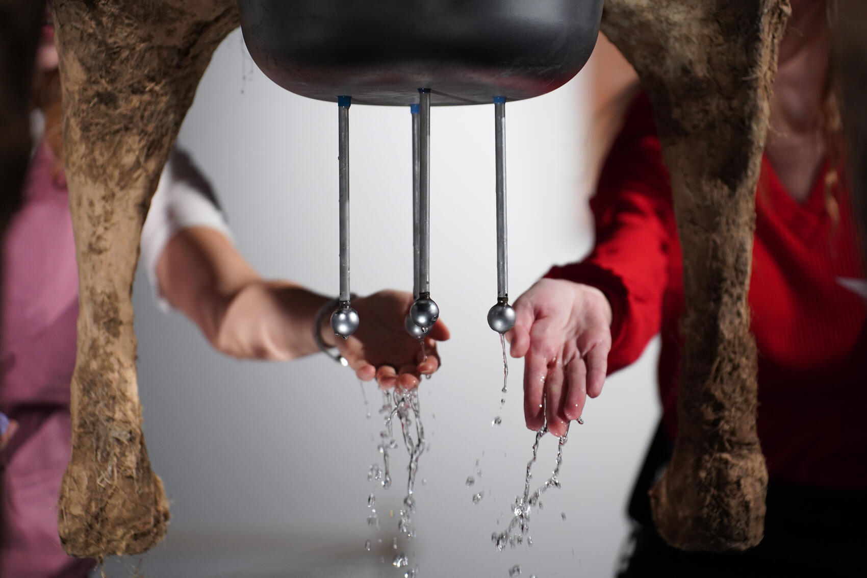 Фото: Елена Елизарова / It’s My City