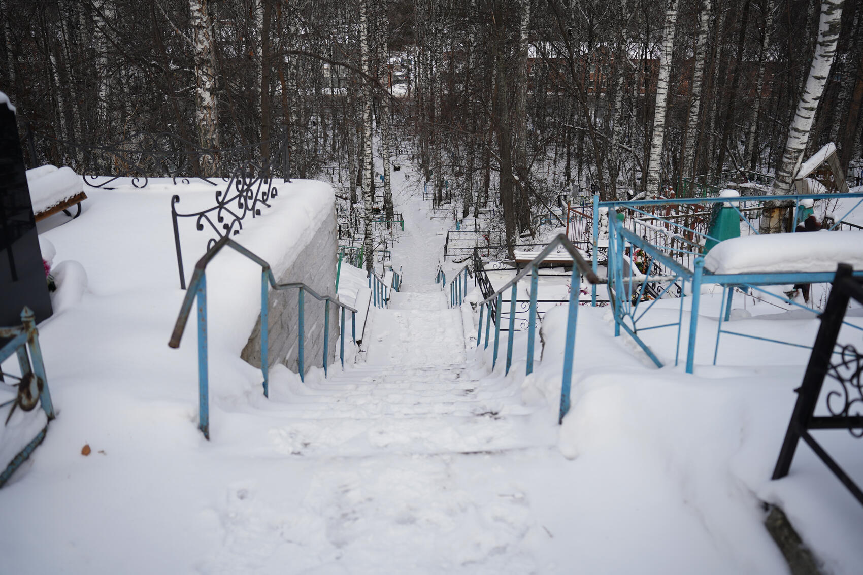 Фото: Елена Елизарова / It's My City