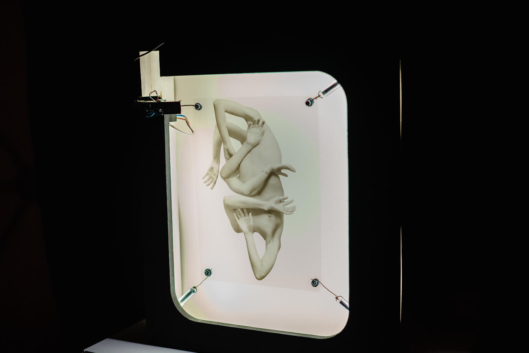 Фото: Алексей Патентный