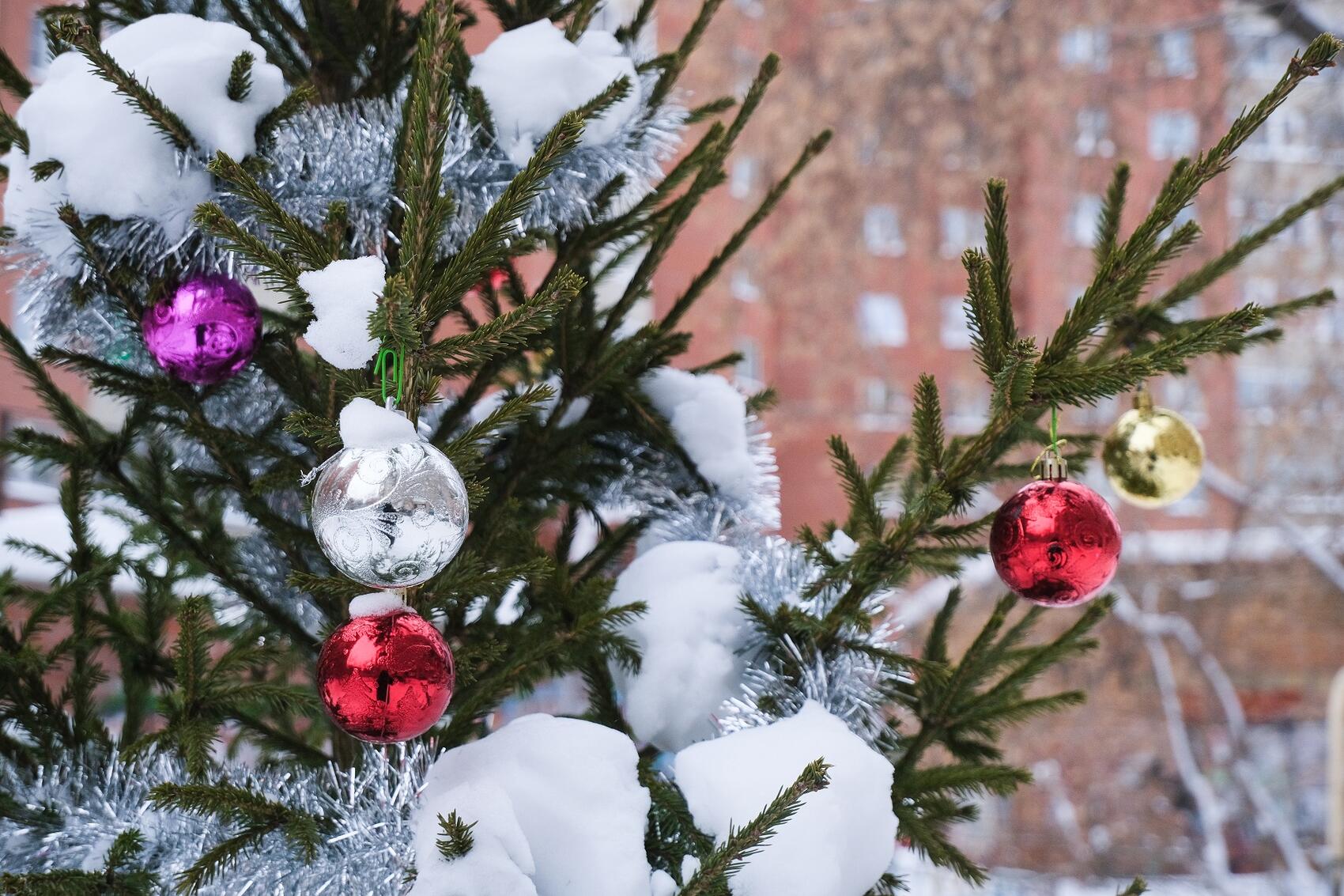 Фото: Саша Зубковский / It's My City