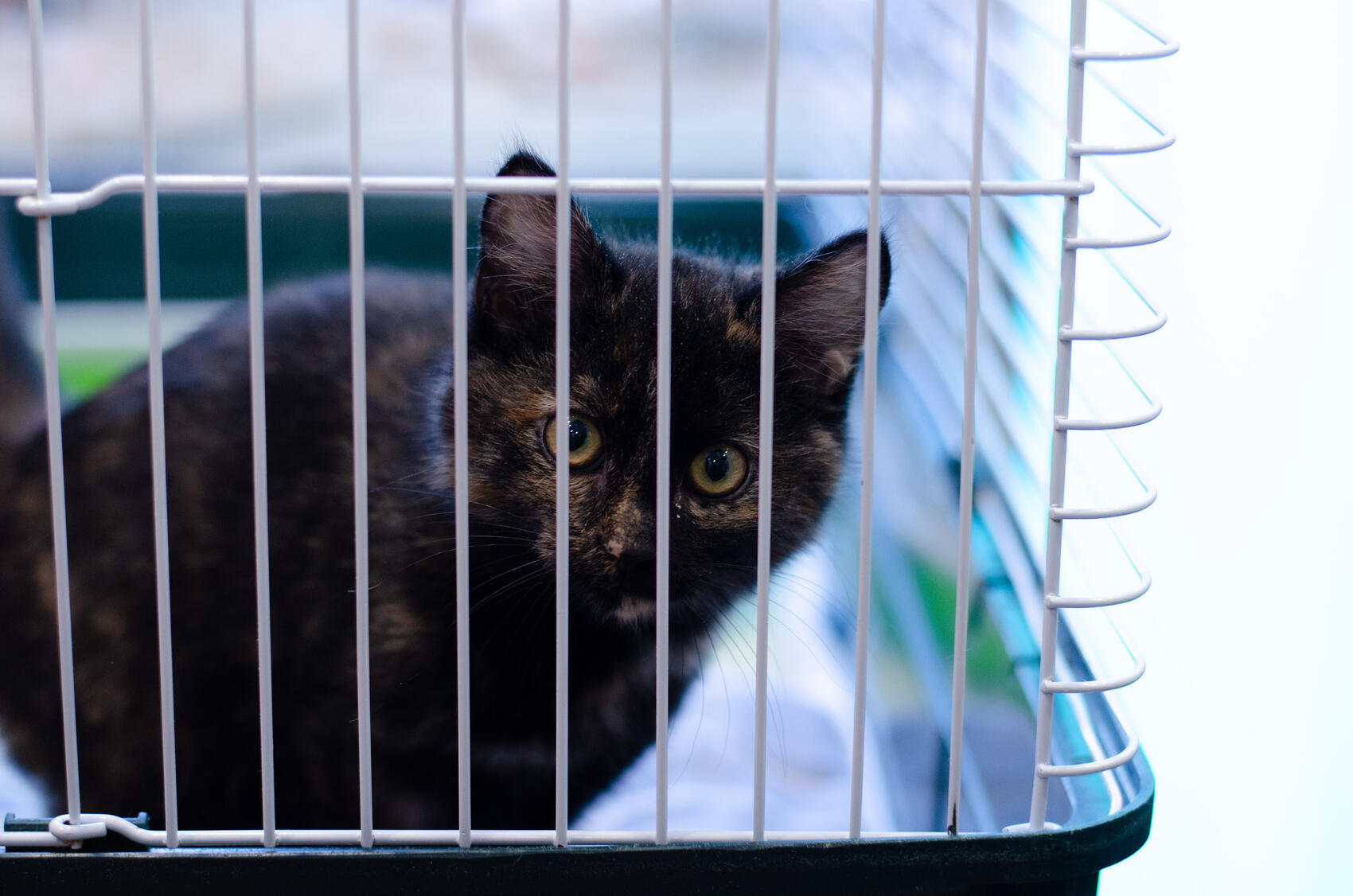 Фото: Евгения Кобеева / It’s My City