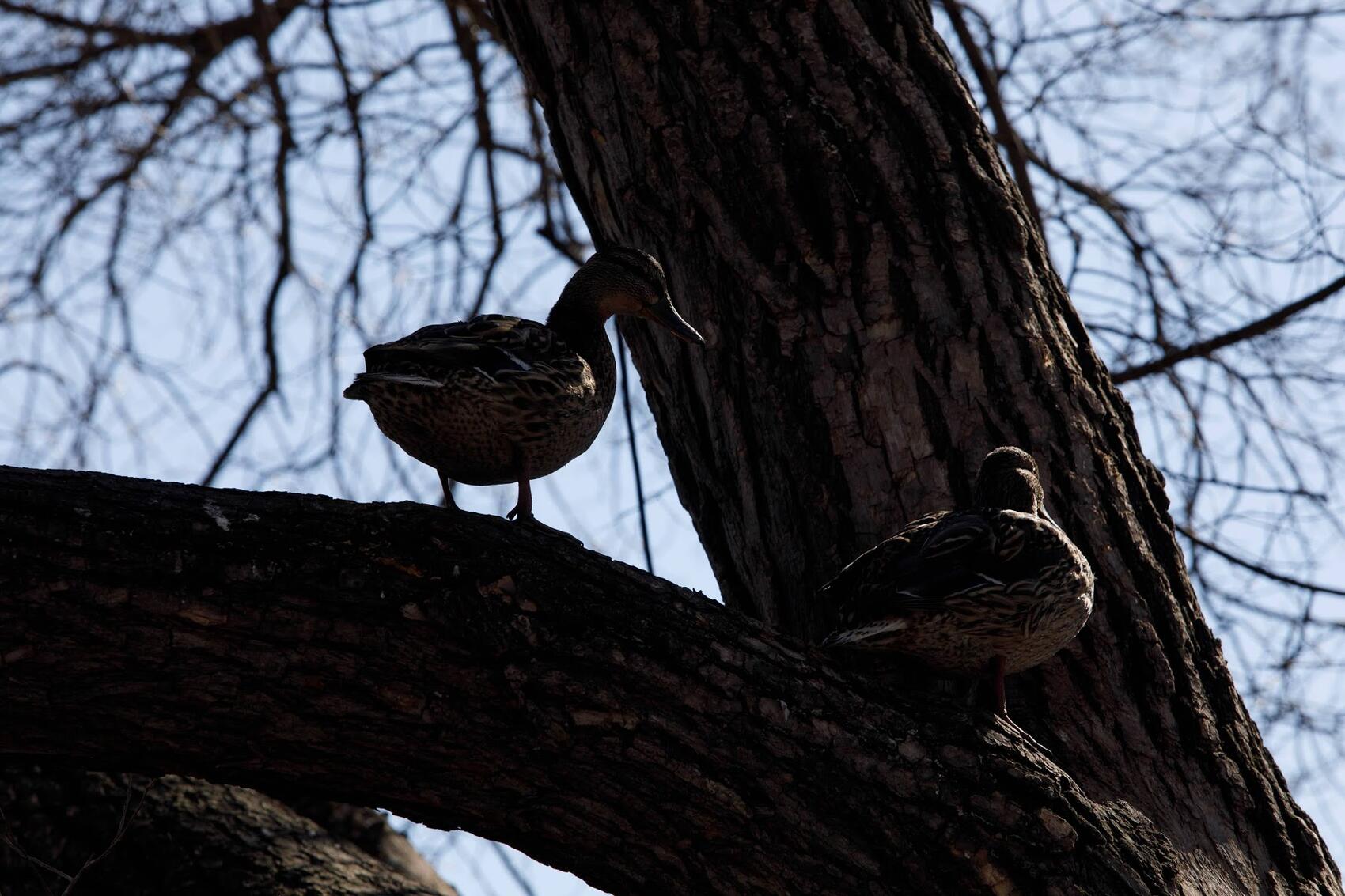 Фото: Марина Молдавская / It's My City