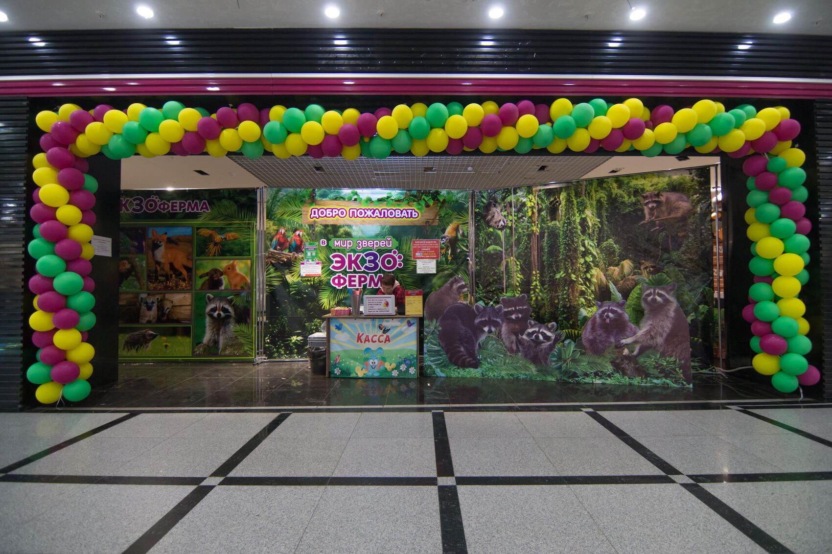 Елена Елизарова / It’s My&nbsp;City