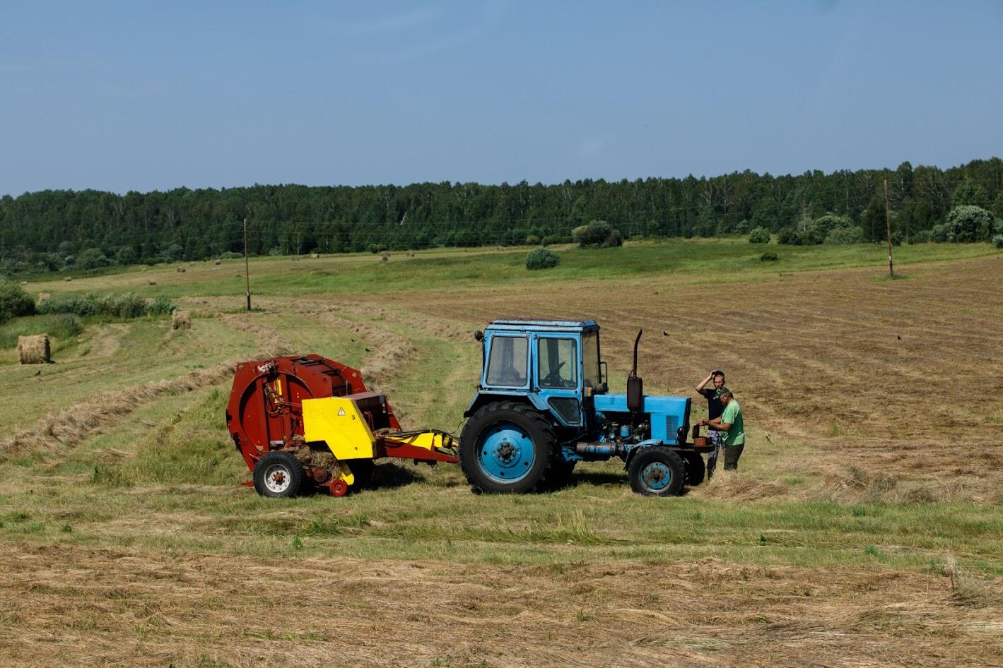 Фото: Марина Молдавская / It's My City