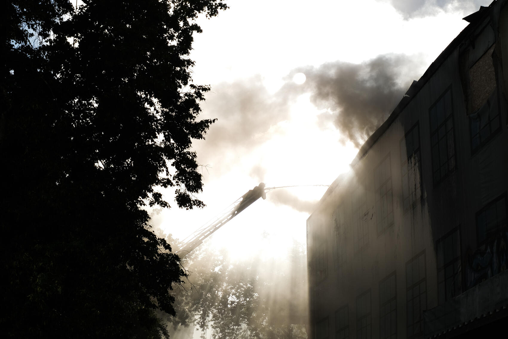 Фото: Саша Зубковский / It's My City