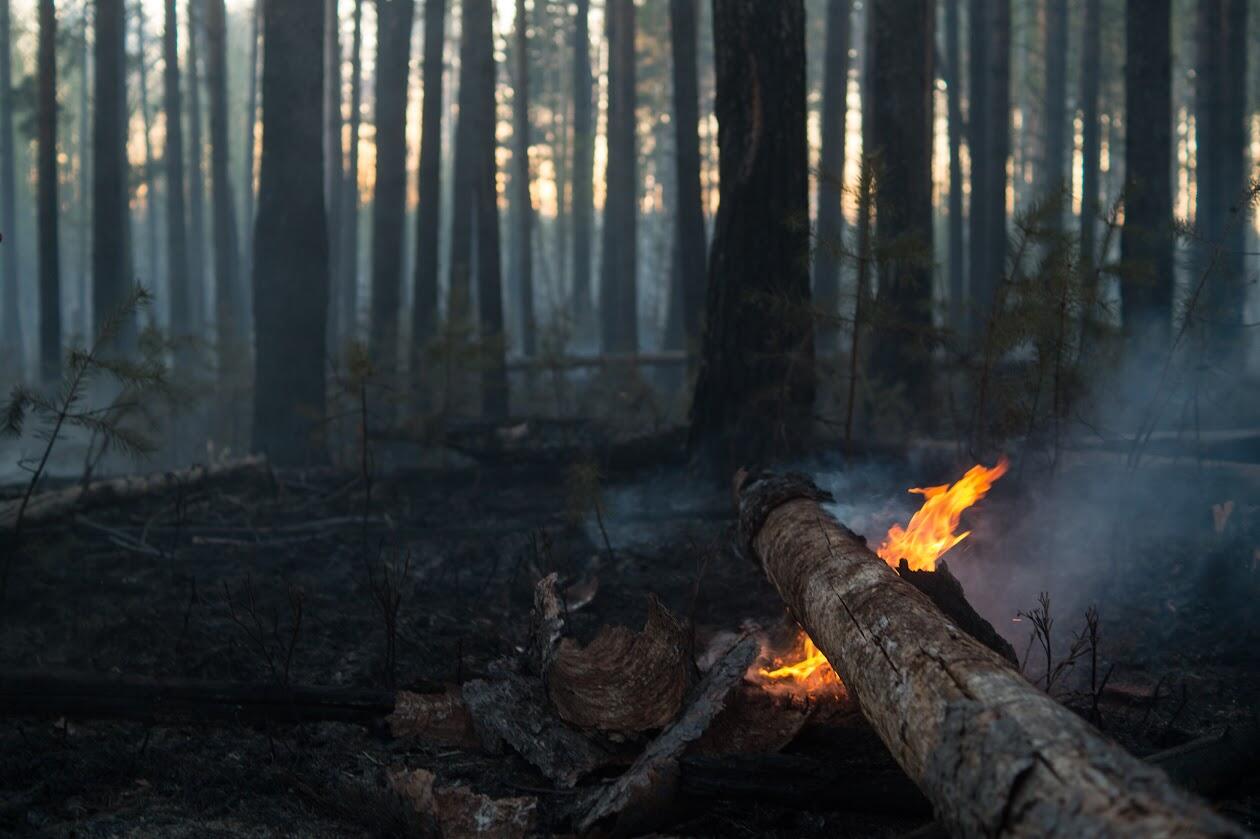 Фото: It's My City