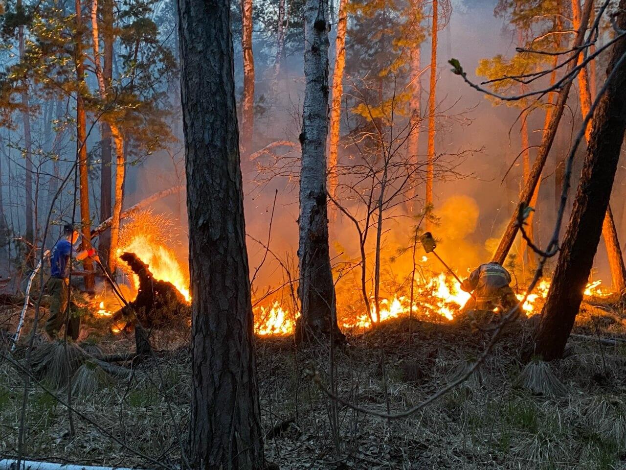 Пожар под Верхней Пышмой. Фото: Игорь Русинов