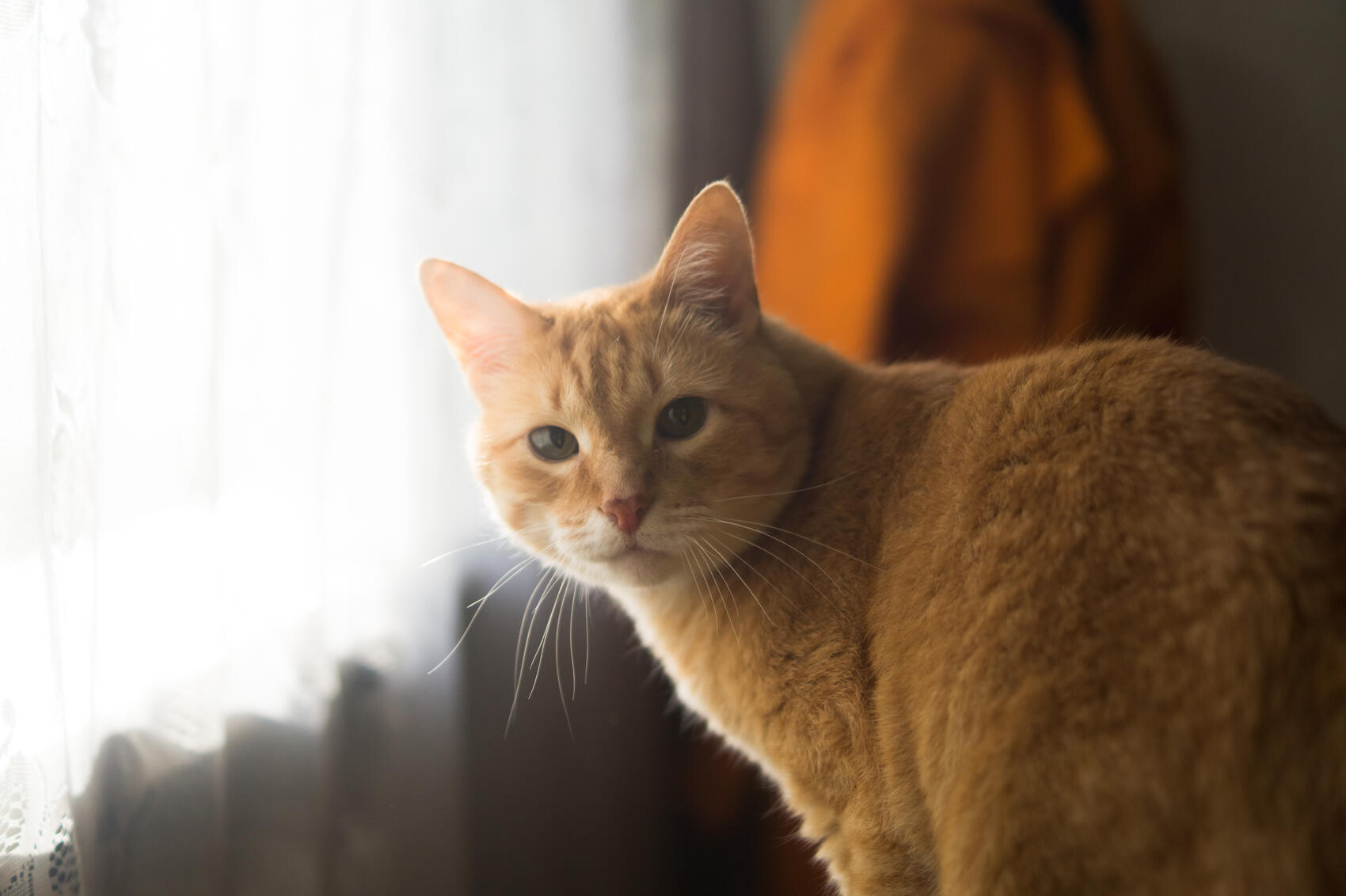 Фото: Елена Елизарова / It’s My City