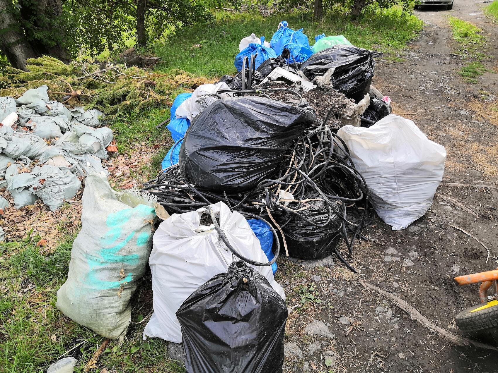 Фото: «Чисто Урал / Clean Ural»