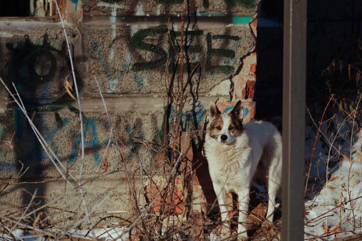 Фото: Елена Елизарова / It's My City