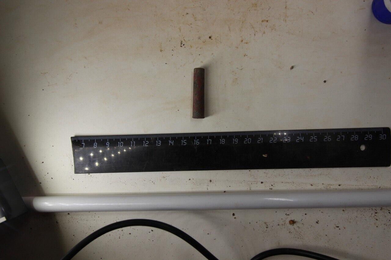 Фото: предоставлено Игорем Пушкаревым