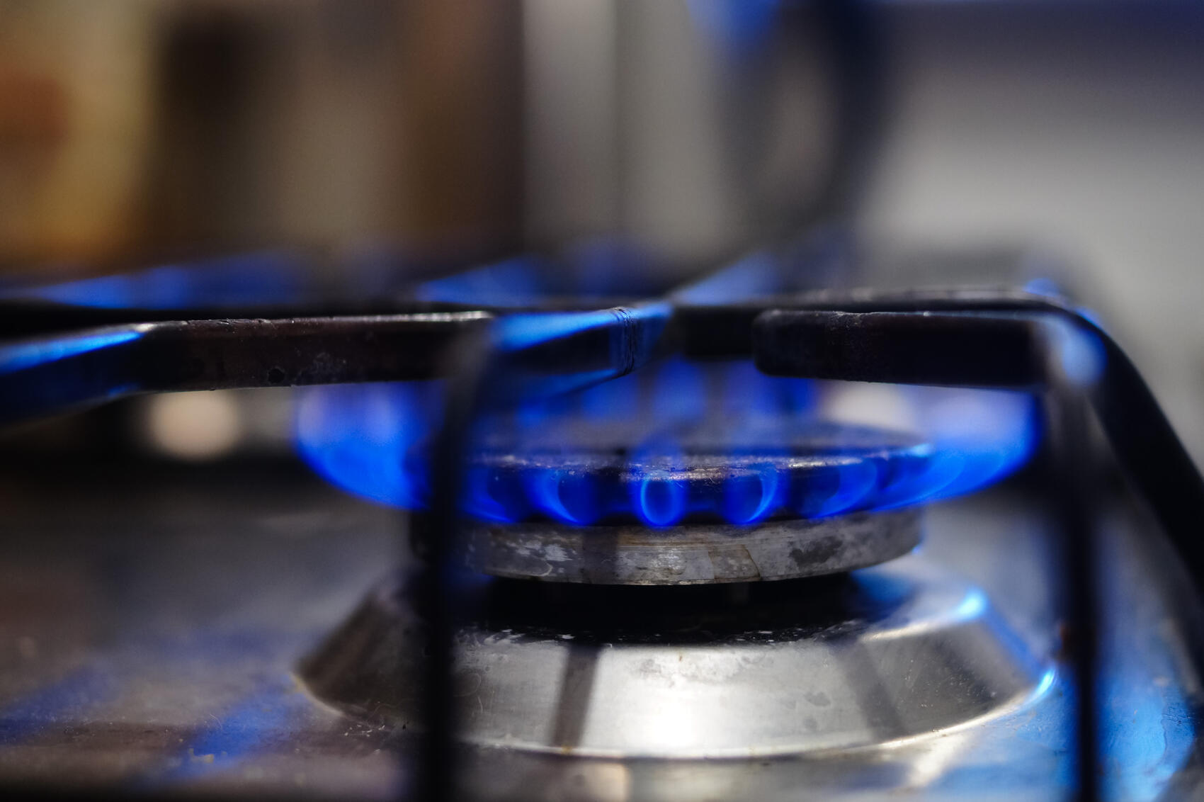 Фото: Елена Елизарова / It’s My&nbsp;City